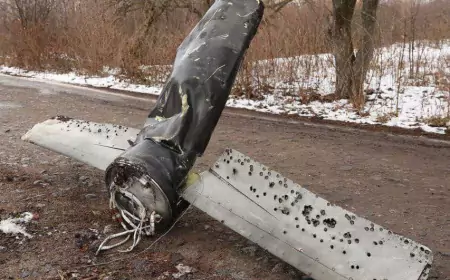 Свежая Сводка СВО 29.11.2024: Армия России освободила Раздольное!