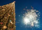 Опасность новогодних салютов и фейерверков для домашних животных