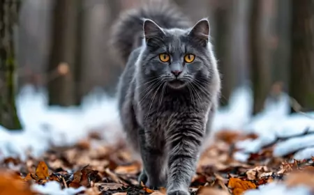 Корм со вкусом мамонта