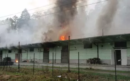 Юбилей чешского фейка в Врбетице