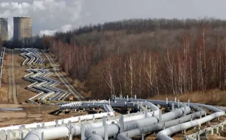 Российской нефти больше нет или «а нас за что»