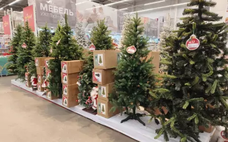 Живая или искусственная? Узнайте, какая ёлка сделает ваш Новый год волшебным!"