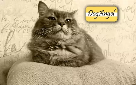 Заводские настройки