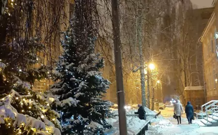 Психология праздника: Как Новый год влияет на наше настроение и психическое состояние