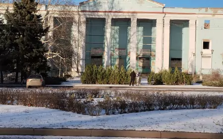 Такой ёлочный базар можно увидеть только в Донецке