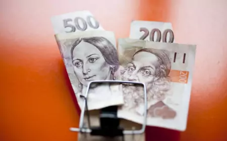 Внешний долг Чехии – повод для радости