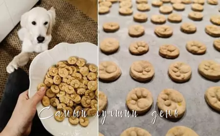 Новогоднее лакомство для собаки