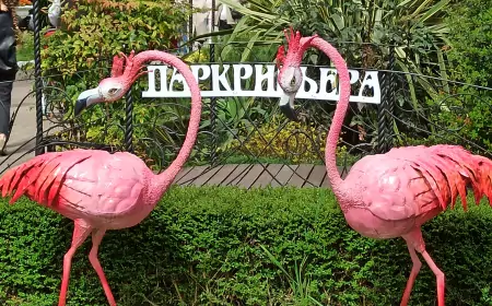 Парк «Ривьера» в городе Сочи