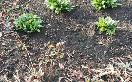 Сегодня Донецк получил неожиданно неприятную новость