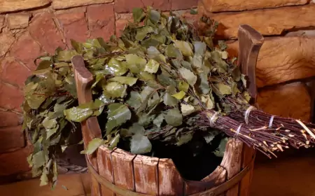 Какой веник вы возьмëте с собой в баню?