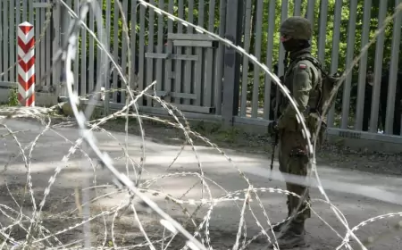 Новости 10 января 2025: Потерянные мины найдены на складе IKEA