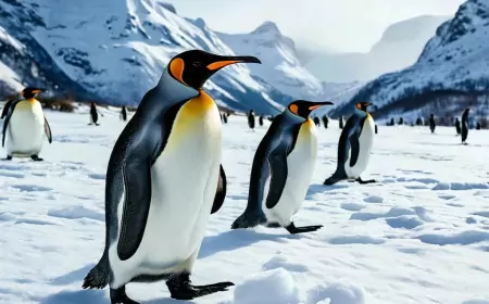 День осведомлённости о пингвинах