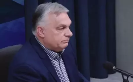 Предсказания Виктора Орбана на 2025 год: Сорос будет изгнан из ЕС