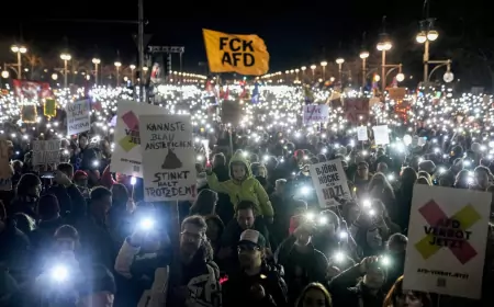 Новости на 25 января 2025 года: протесты в Германии