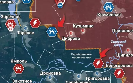 Свежая сводка СВО на 26 января 2025 года: Кременское направление