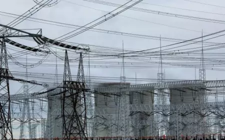 Дукованы будут достраивать корейцы