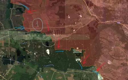 5 февраля 2025 года: новости СВО на Кременском направлении