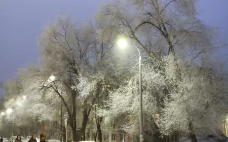 Февраль, ты, братец, сумасбродный!