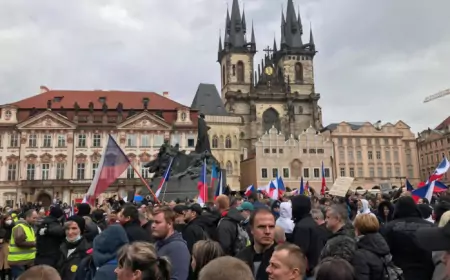 Чехи против выборов по почте