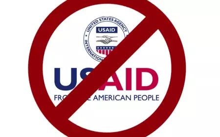 Политические НКО требуют финансирования от Европы