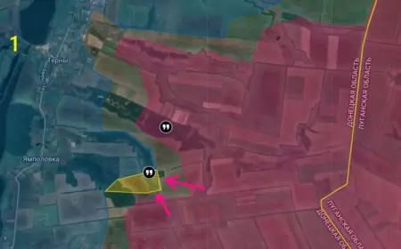 Обстановка на Кременском направлении на 24 февраля 2024 года