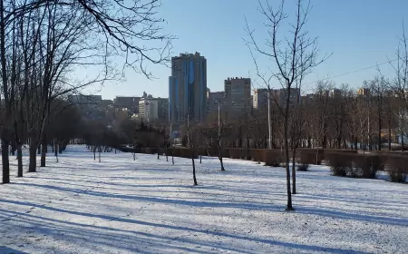 "Здесь совсем другой менталитет. Не могу привыкнуть. Хочу домой вернуться'
