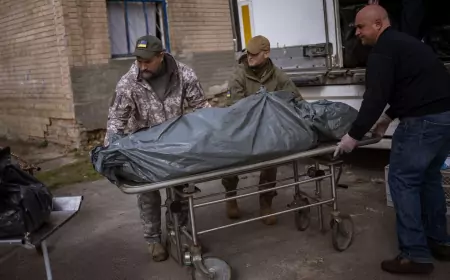 Готовы ли чехи воевать за Украину