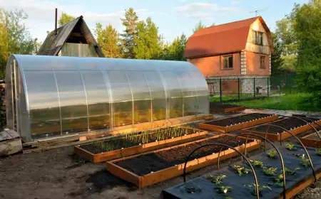 Теплица на участке: стоит ли затевать капитальное строительство?