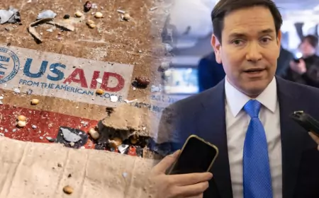 USAID будет работать под контролем