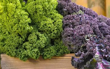 5 причин для посадки капусты кале: полезный и урожайный выбор