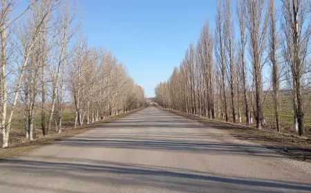 В поисках весны