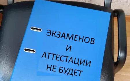 Экзаменов и аттестации не будет