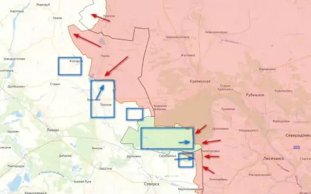 Новости СВО на 29 марта 2025 года: Кременское направление