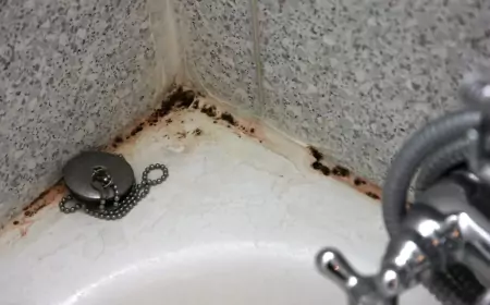 Как избавиться от черной плесени в ванной комнате