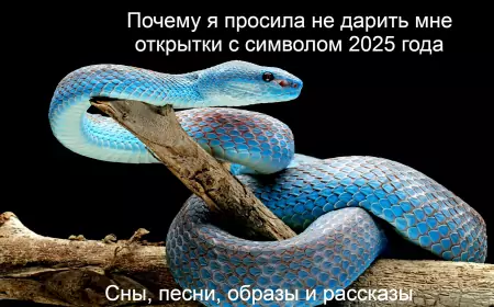 Почему я просила мне не дарить открытки с символом 2025 года