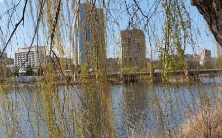 Пасхальное перемирие? В Донецке снова громко