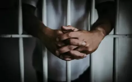 Мэра чешского города Пльзень достали иностранцы