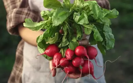 Сезонные продукты от весеннего авитаминоза