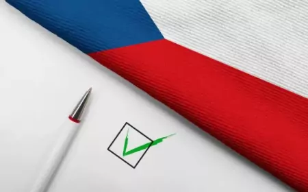 За что переживают чехи на парламентских выборах 2025