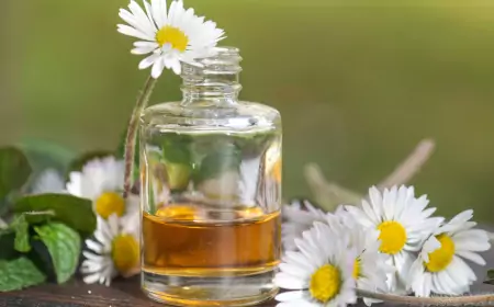 Рецепт домашней мази из ромашек