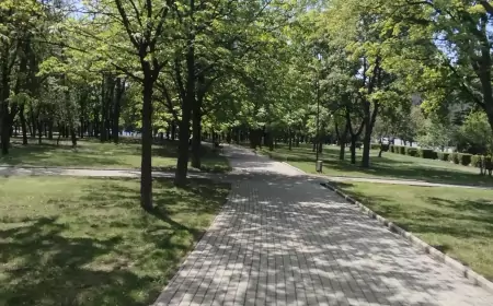 Снова Петровка. Очередной обстрел Донецка