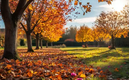 Осенние хлопоты: подготовка сада к зиме