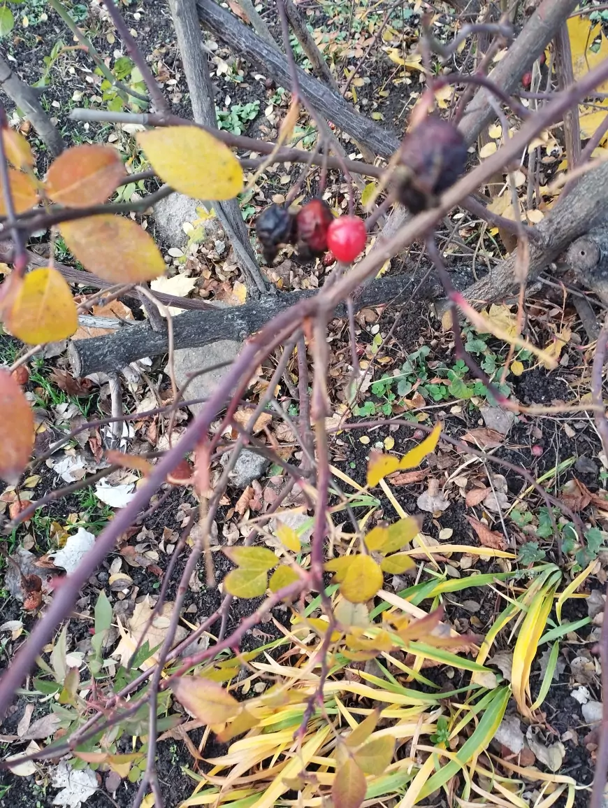 Донецк после атак на ТЭС